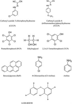 Mode of Action Assignment of Chemicals Using Toxicogenomics: A Case Study with Oxidative Uncouplers